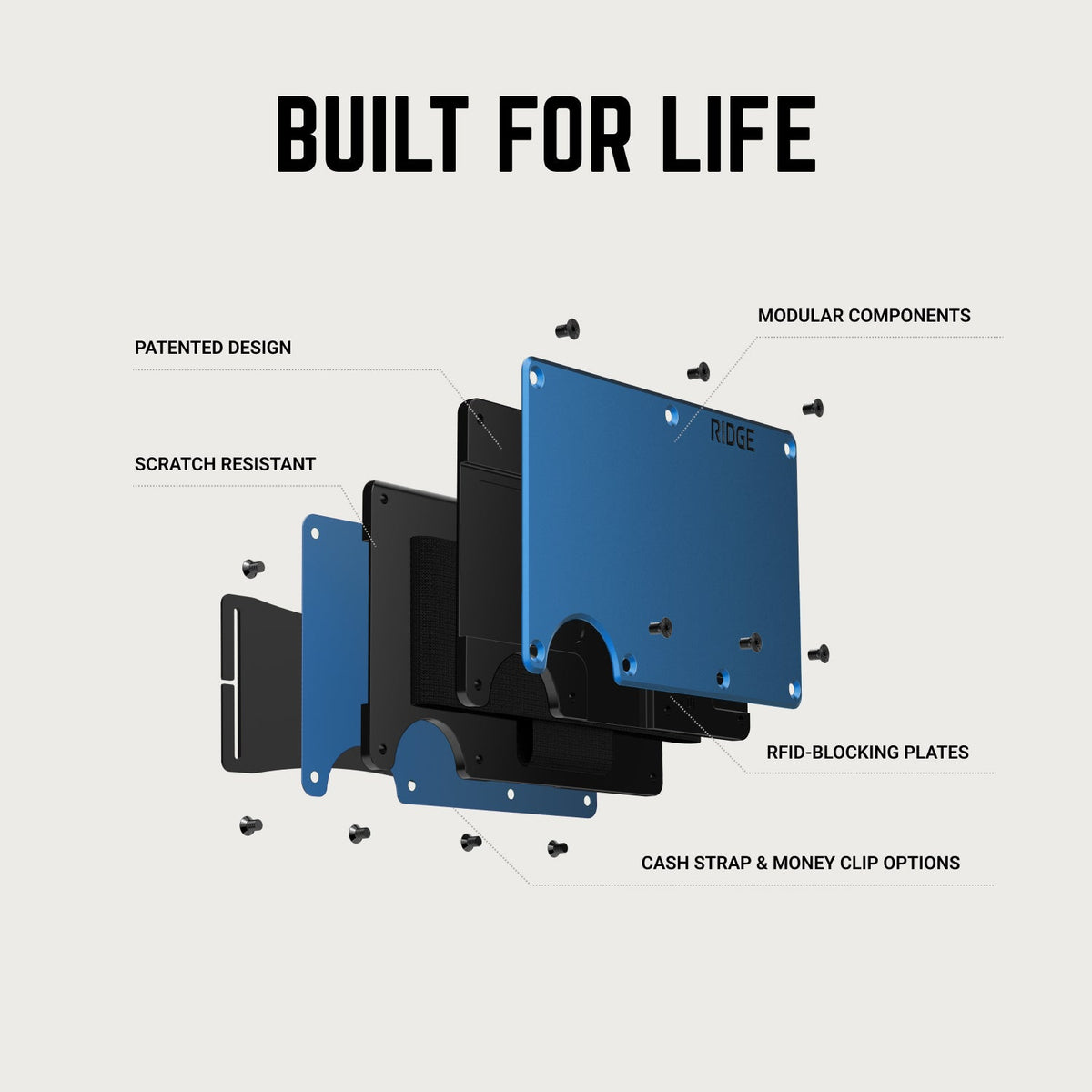 Daily Driver Kit - Tampa Bay Rays